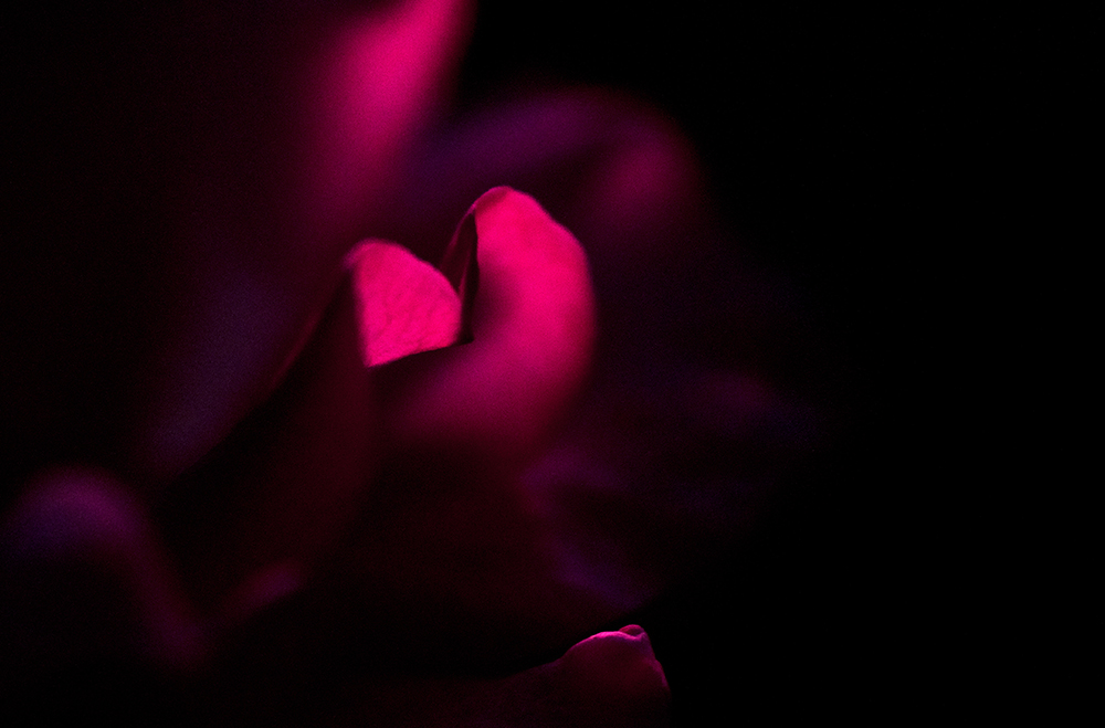 _DSC0016.jpg