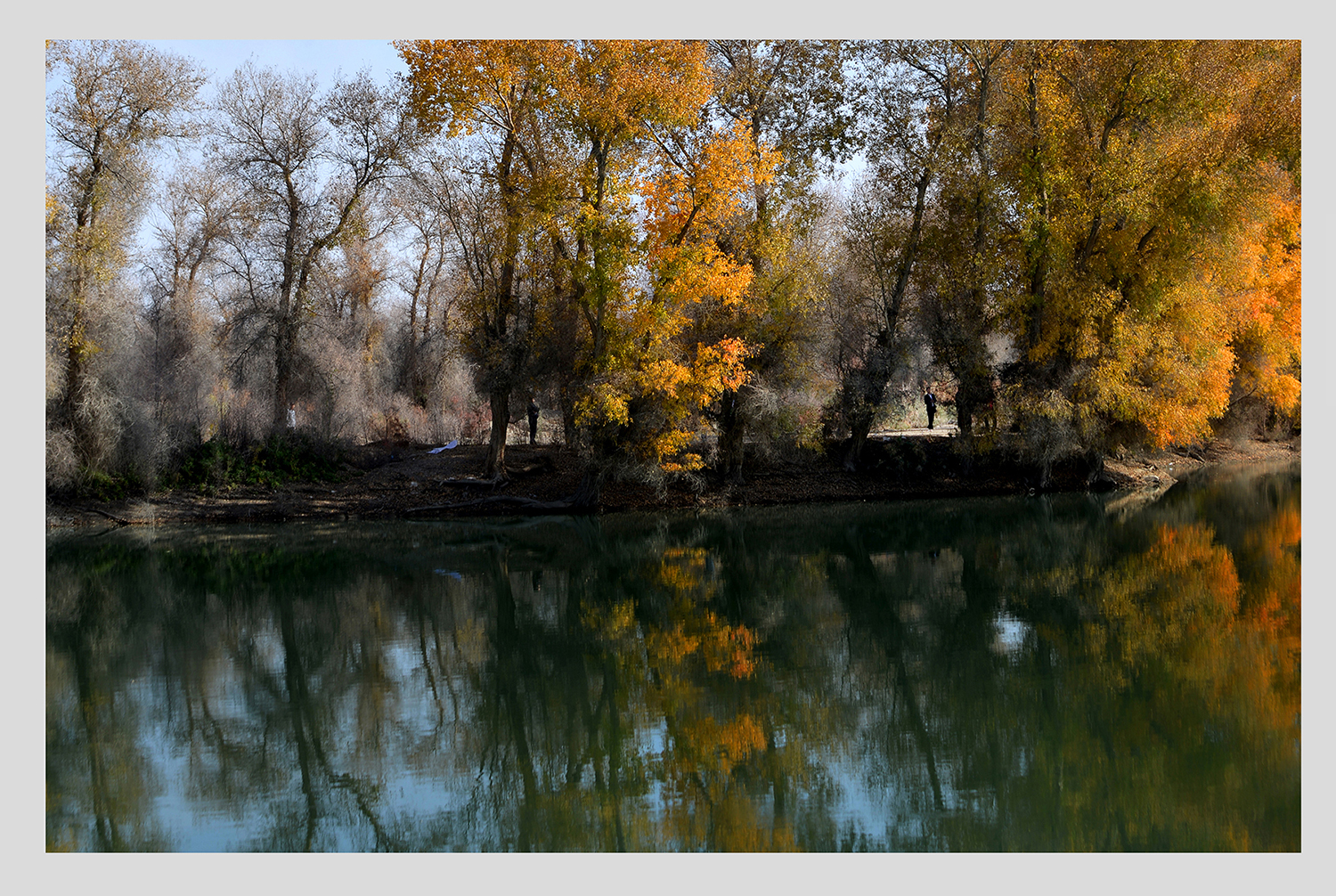 DSC_3763.JPG