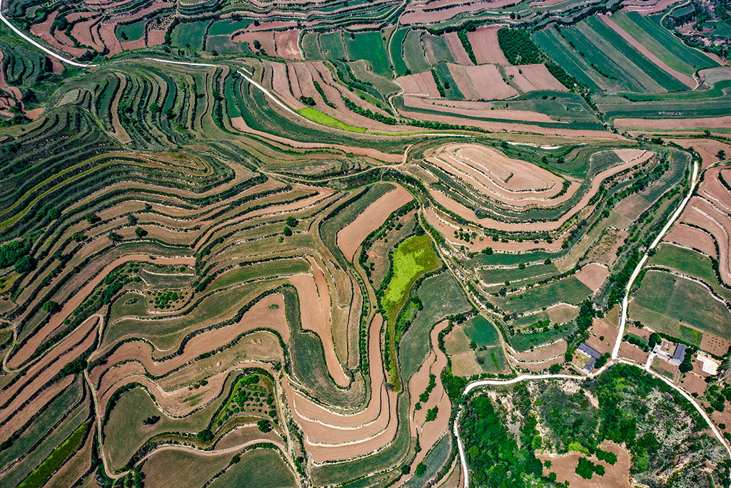 DJI_0837.jpg