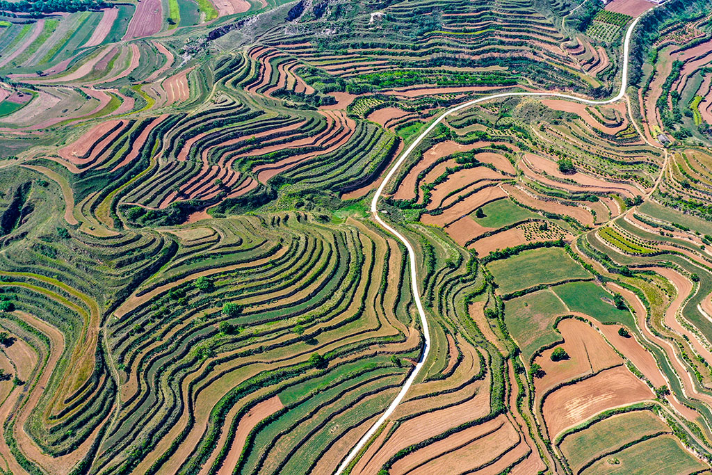 DJI_0789.jpg