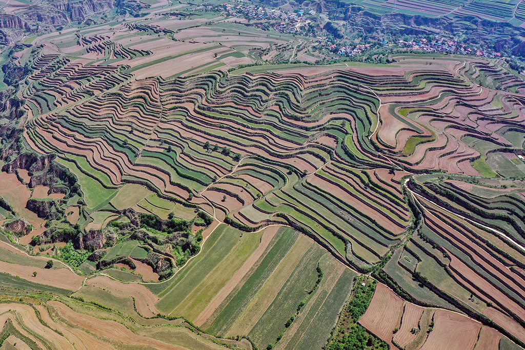 DJI_0807.jpg
