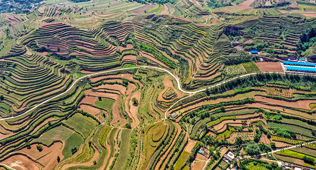 DJI_0809.jpg