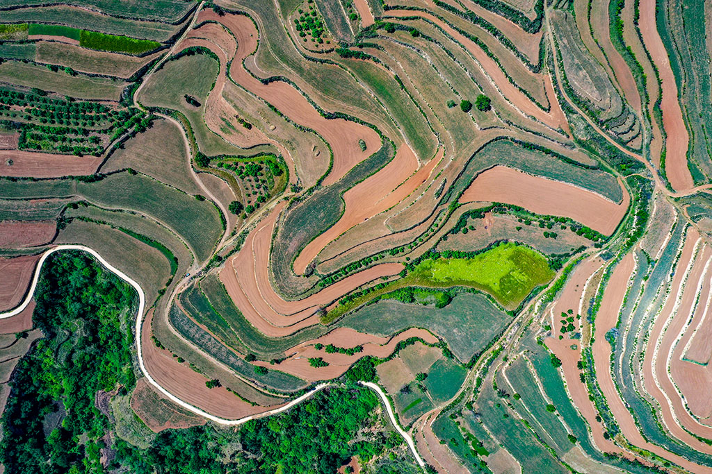DJI_0819.jpg