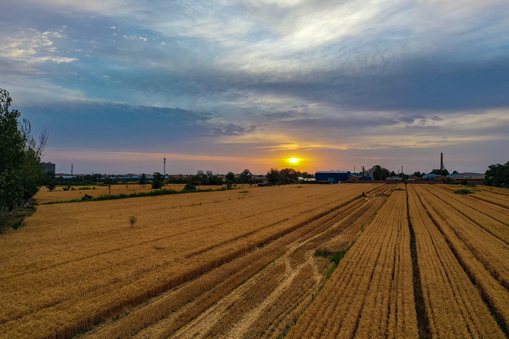 DJI_0008.jpg