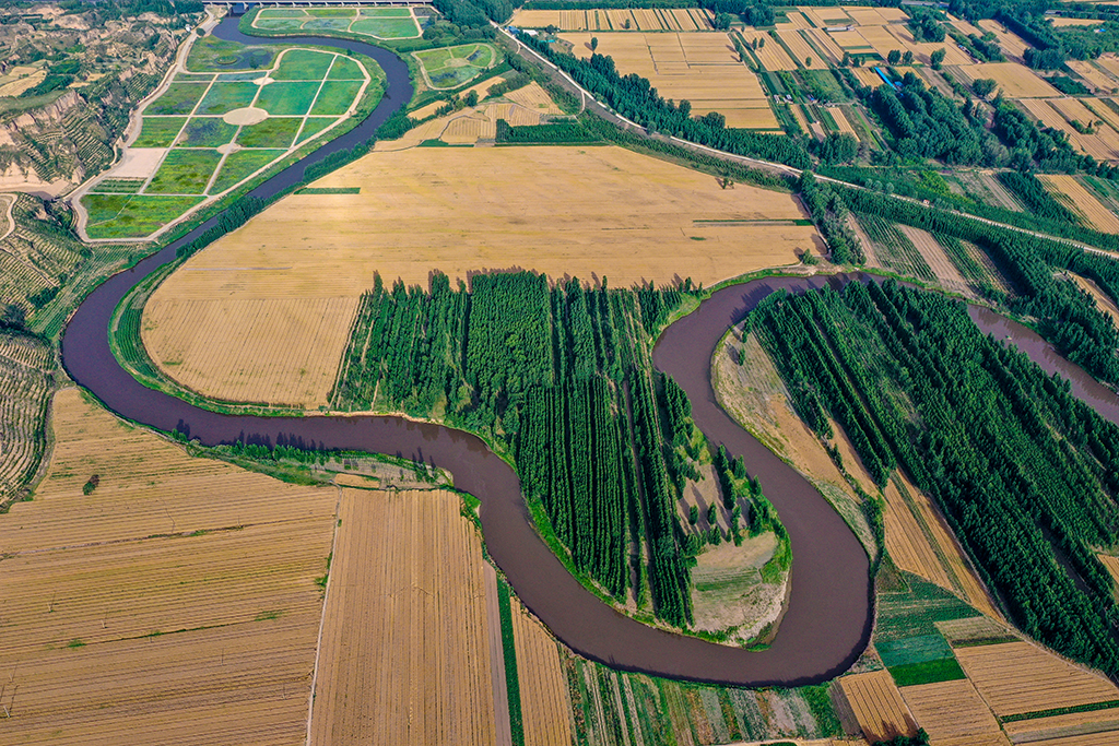 DJI_0049.jpg