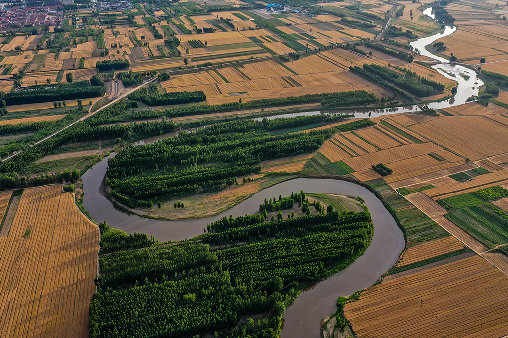 DJI_0052.jpg