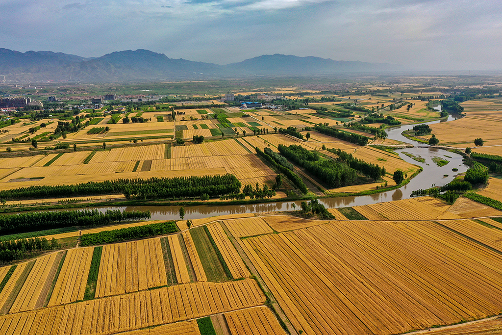 DJI_0087---.jpg