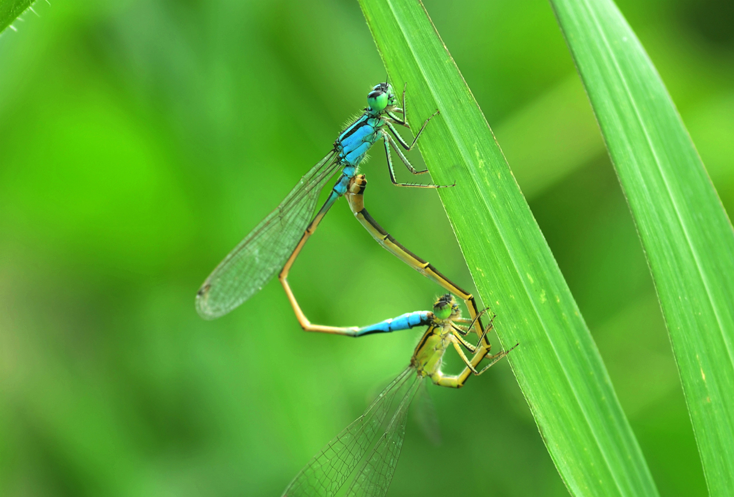 DSC_1677.JPG