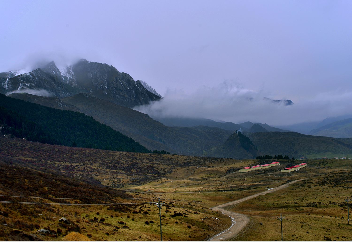 DSC_8974.JPG