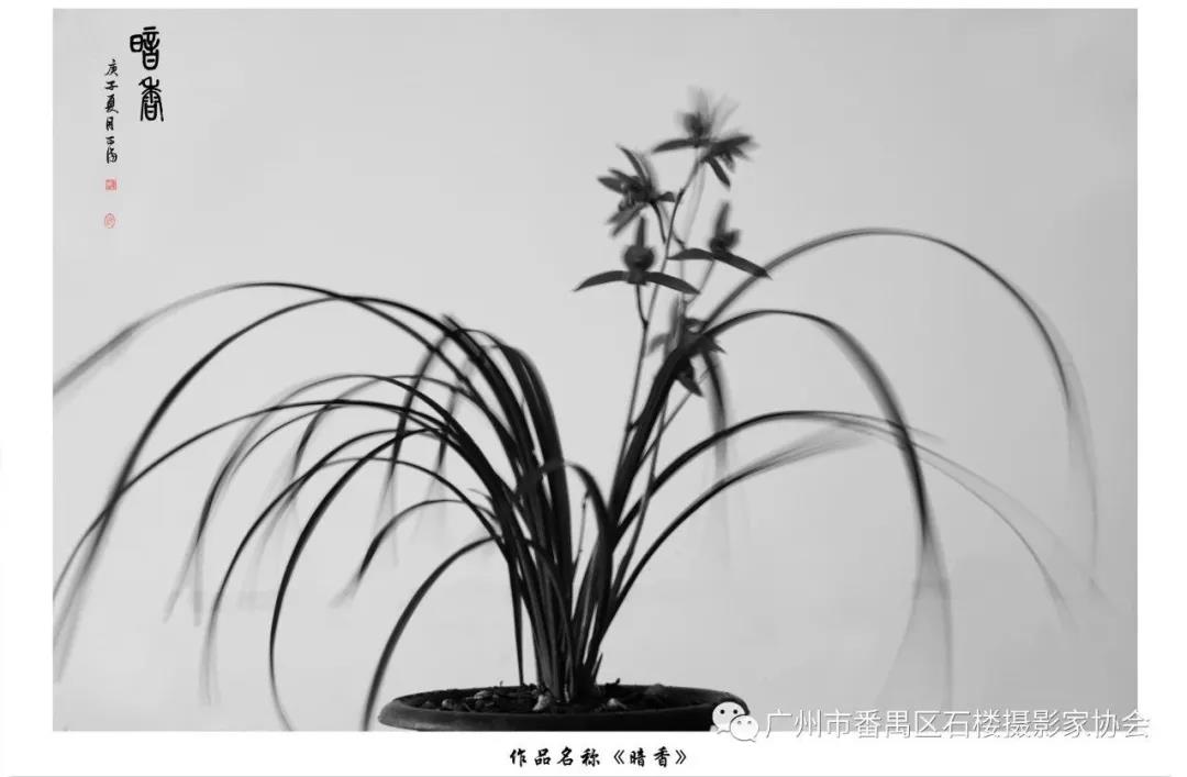 ΢ͼƬ_20200924094004.jpg
