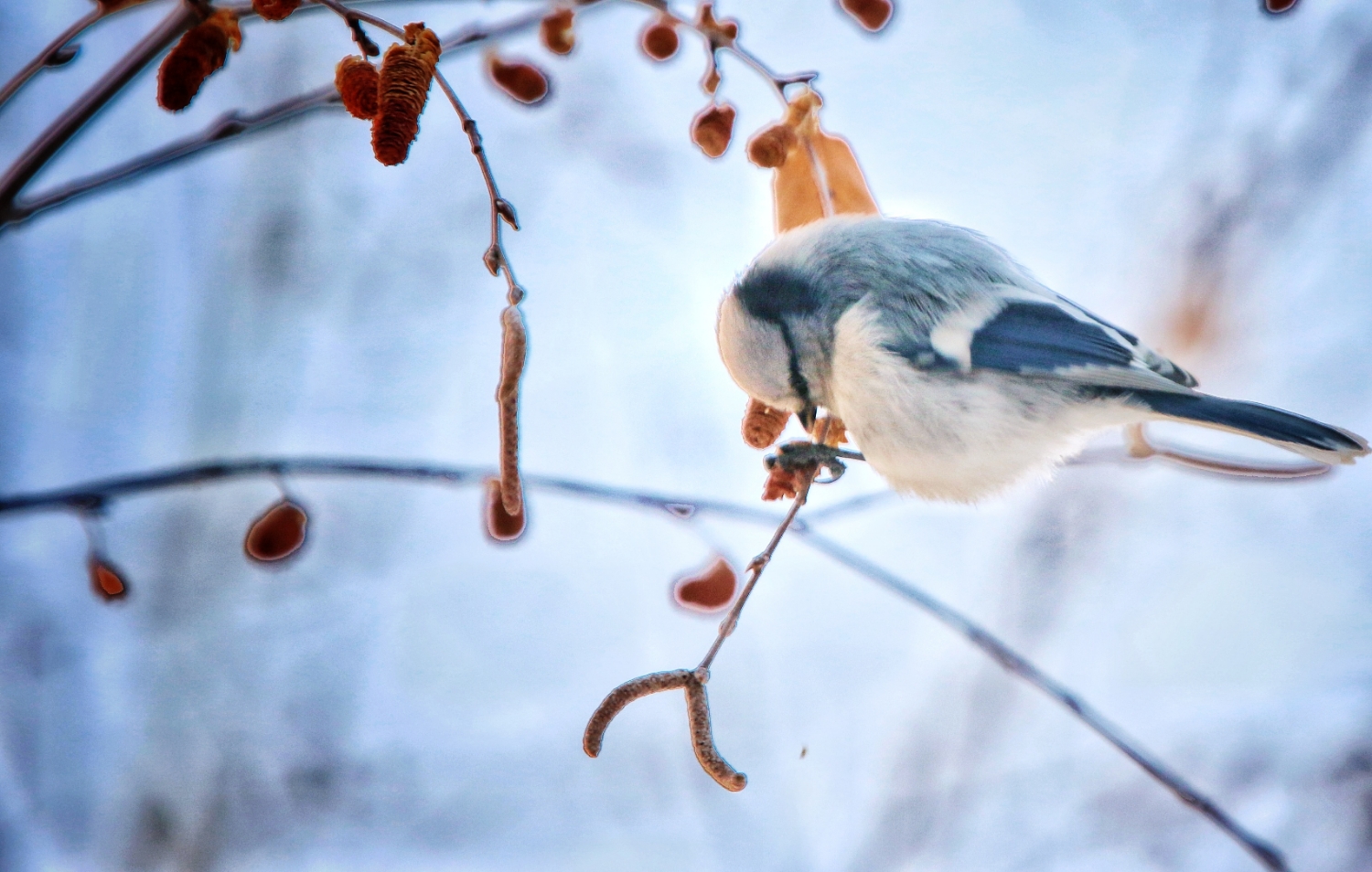 PicsArt_12-15-02.52.09.jpg