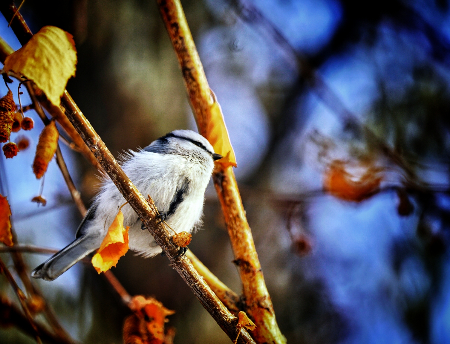 PicsArt_12-15-02.51.25.jpg