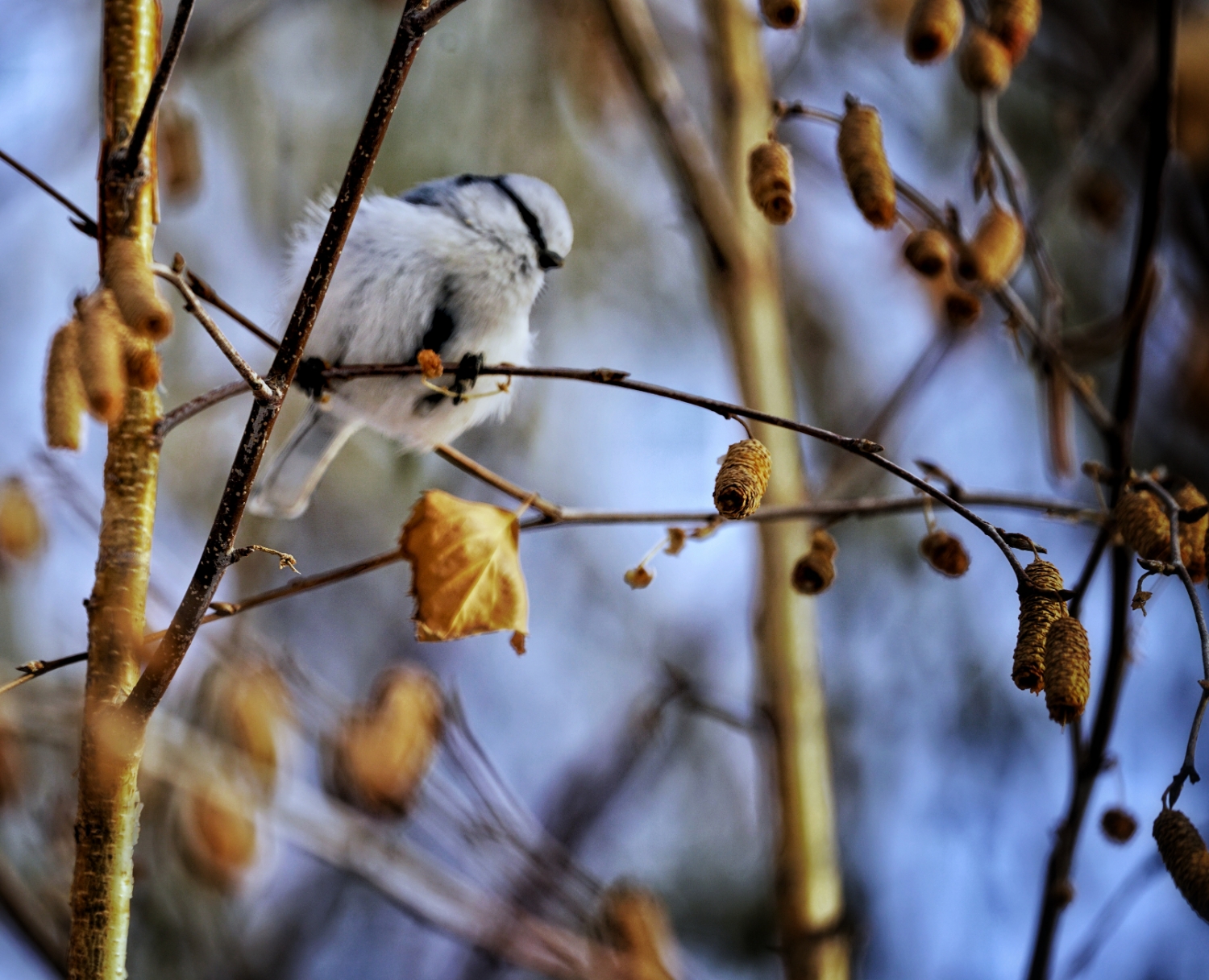 PicsArt_12-15-02.48.42.jpg