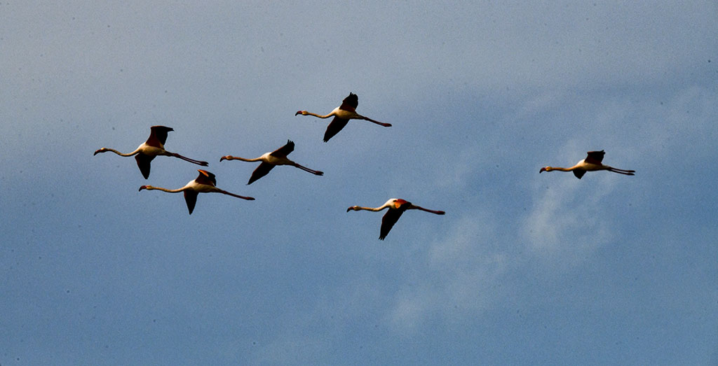 DSC_2223.jpg