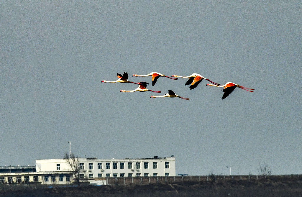 DSC_2535.jpg