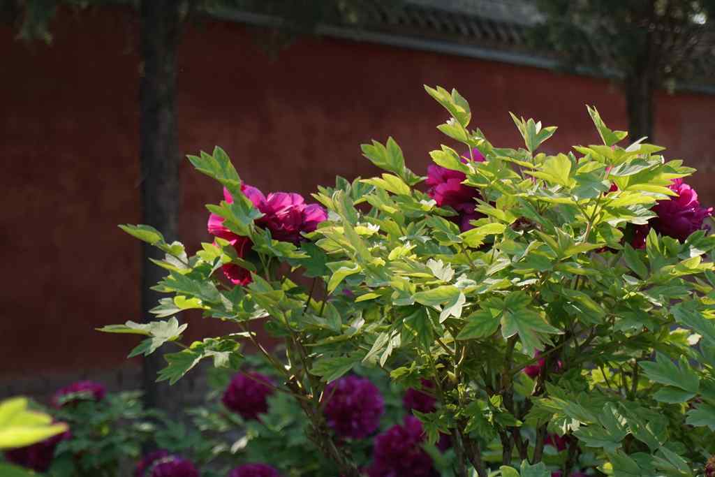 DSC01469_.jpg