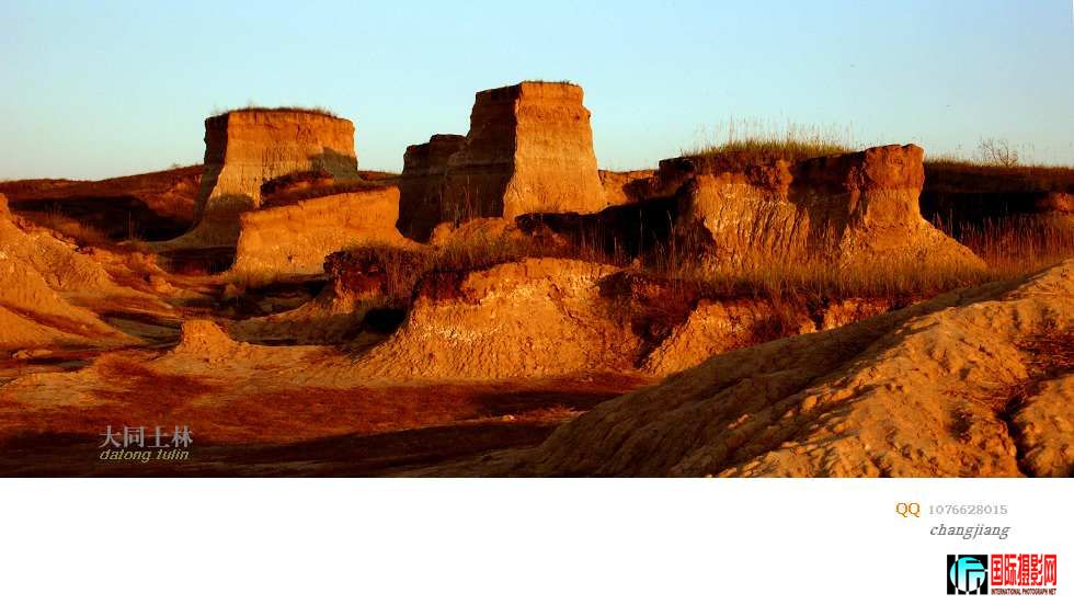 P1020570-.jpg
