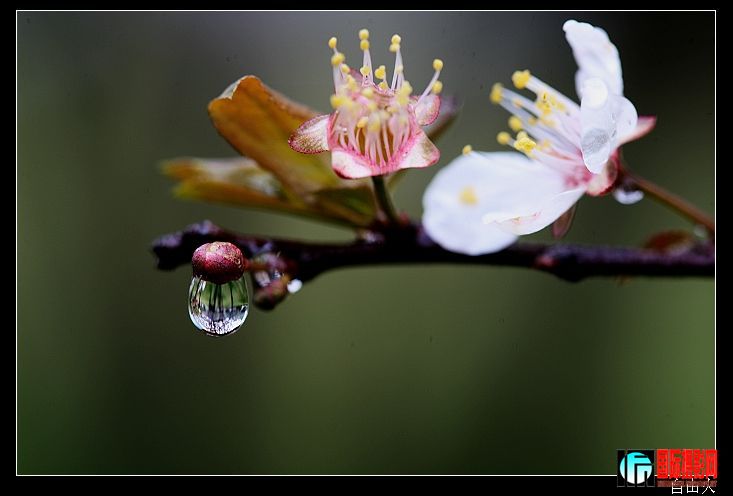 20090312_db4c16ccf6ff634f3a98t3eyBIYr93AM.jpg