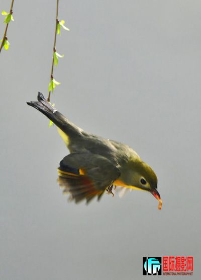 f7.jpg