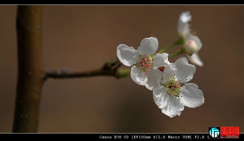 20090322_a97e20e44d3586eec806WAnzAy8Iok8e.jpg