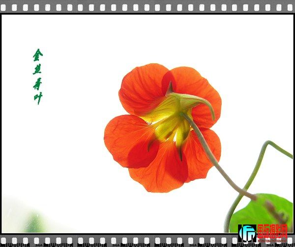 DSCN9268.jpg