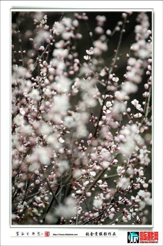 20090407_1df076d24357912e9c04VxANW2TldEdY.jpg