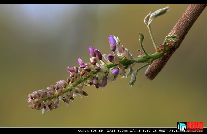 20090407_277fb65deb0d8ce45366a6qZsxEA1neq.jpg