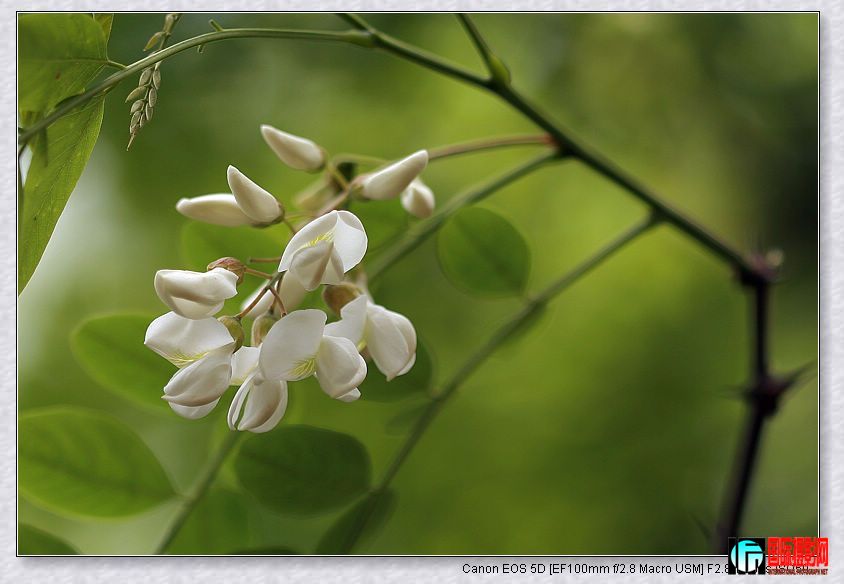 20090425_f3cbd522f7da62cb90e2BQsea4HI6hFo.jpg