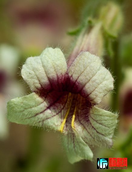 20090502_612a322a62e9f82e337dSiJ0I1DJXLyz.jpg