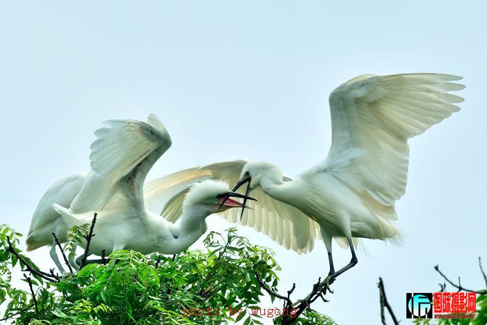 20090505_08a10be07a51643b6c68Zp0lWmBFfREt.jpg