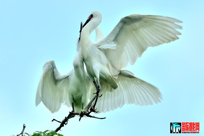 20090505_1dbdfa4af83d4dc5f7eejlnddC1dmdHQ.jpg