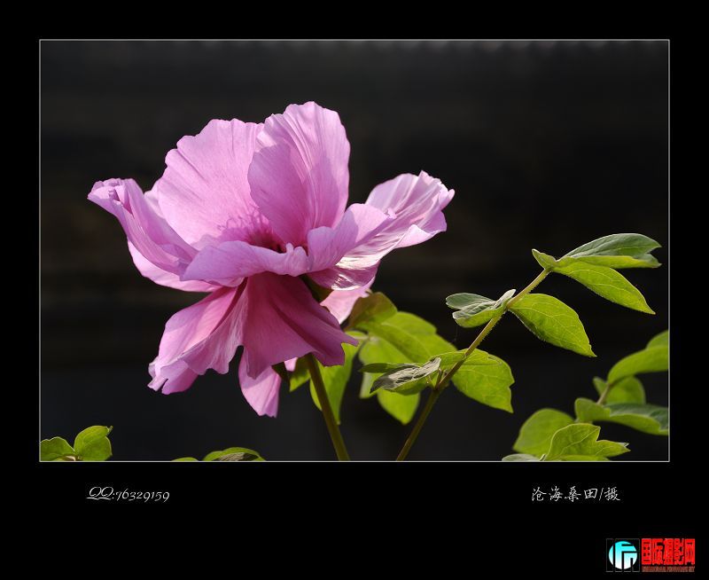 20090506_71c19b6a4e1ee9b358433fTujEc063nm.jpg