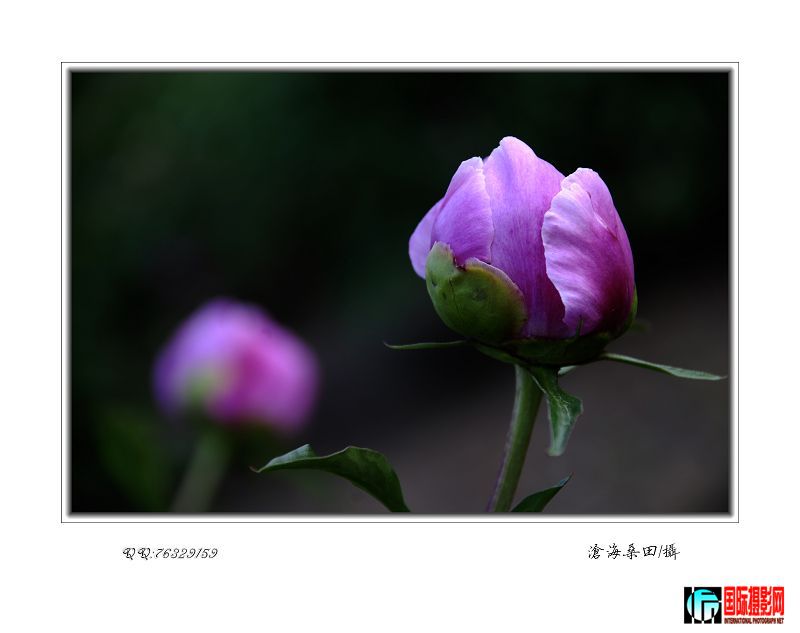 20090513_6f7ac713c7b6ca6b26266N5NDvexeOKY.jpg