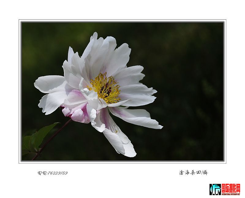 20090513_56ea547685094c3014a9vXbGEUx2ii3C.jpg