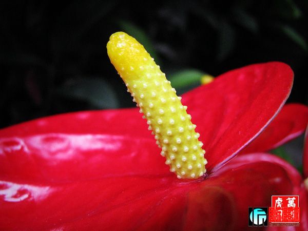 20090523_aa8542effcb664b7b150S6bqmGr08mDM.jpg