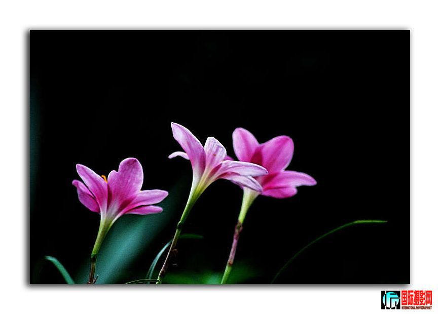 20090523_546ec07c7ac77d516d17mTiE9z1DsJR1.jpg