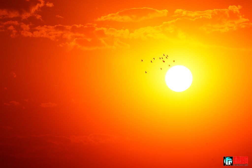 20090603_d07dbaafb6d3836ce0ed982n6epvoNUZ.jpg