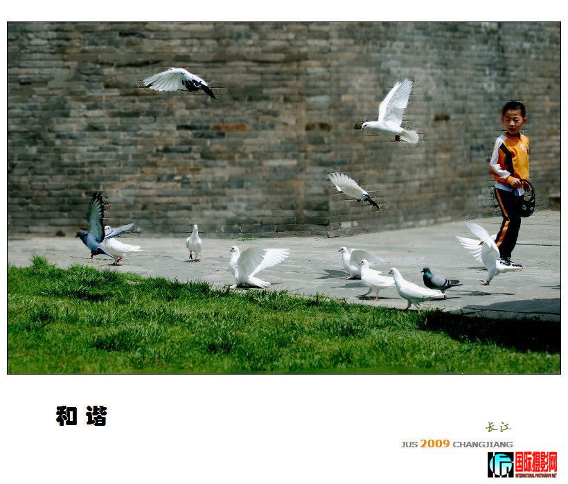 20090605_1925f32d02274280579dErOqZwmBZcRk.jpg