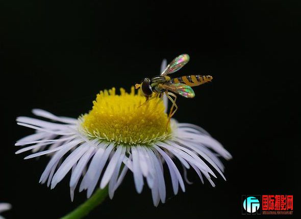 20090607_96756369105a92a60194qiWNfXRsnIoI.jpg