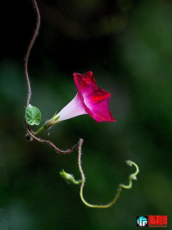20090617_cdfecaed8b5cc1bedd60MsRtQgxov1yk.jpg