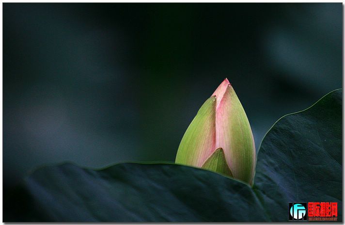20090709_c590378937898ccc8dd6Nmuhx1Hvxpz7.jpg