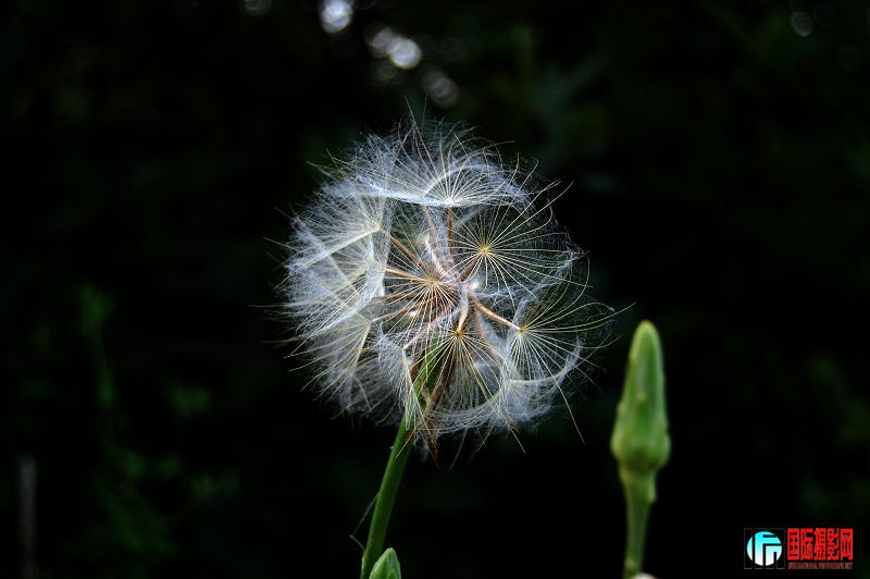 DSC_0276.jpg