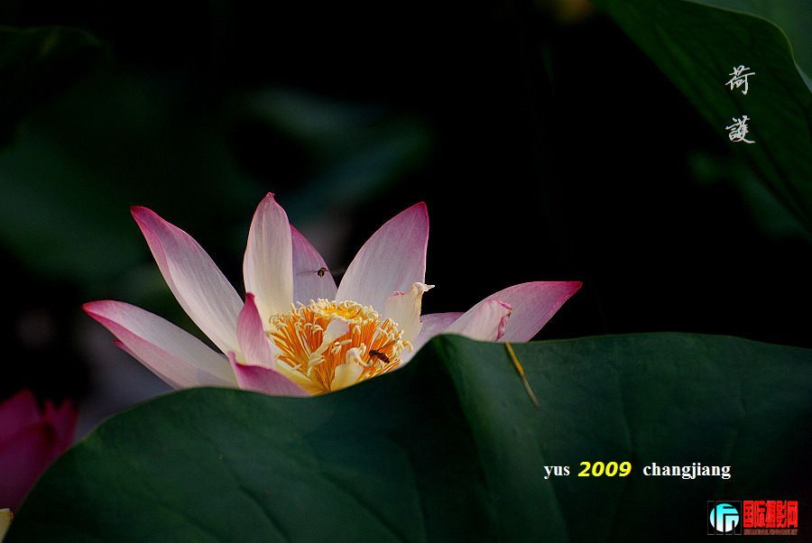 20090719_df2aaffb51a40c8975f8Haj3xt3gt3SW.jpg