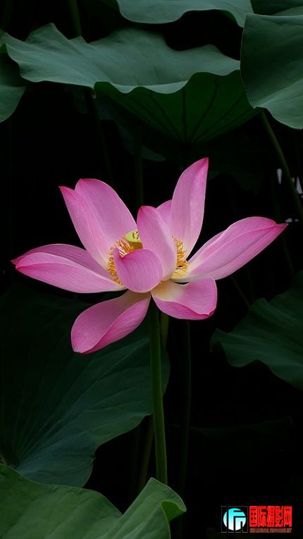 20090724_5e6eabcf6c141e260b53E1VpQwJBz8GT.jpg