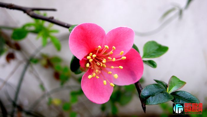 P1000753..jpg