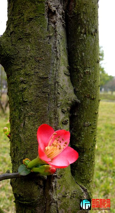 P1000469..jpg