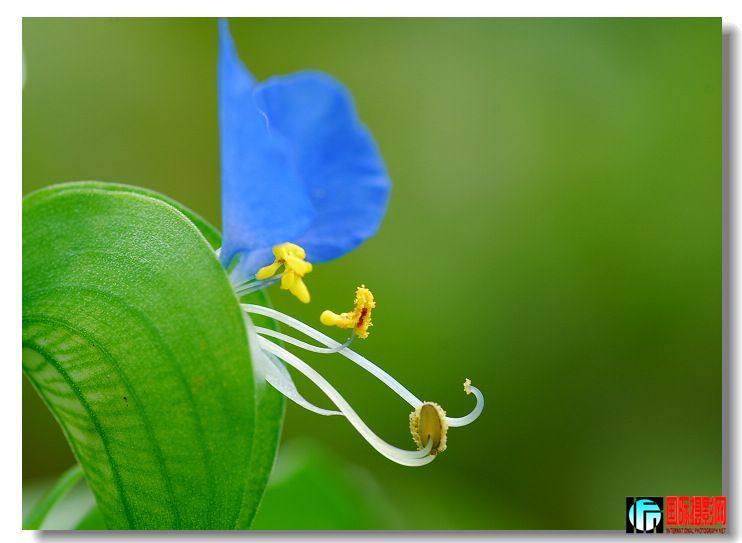 20090812_6727bec161c8a2a62f88URySaaJ7upCR.jpg