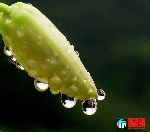 20090820_d35f55c36e36afea8f76kae9tZ5N5E8H.jpg