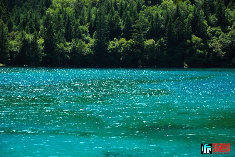 DSC_0480.jpg