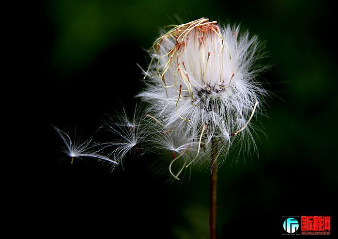 20090926_6a272e415ef25a95e7166RVtDqyW5NGp.jpg